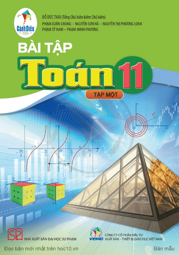 Sách bài tập Toán 11 (tập 1) (Cánh Diều)